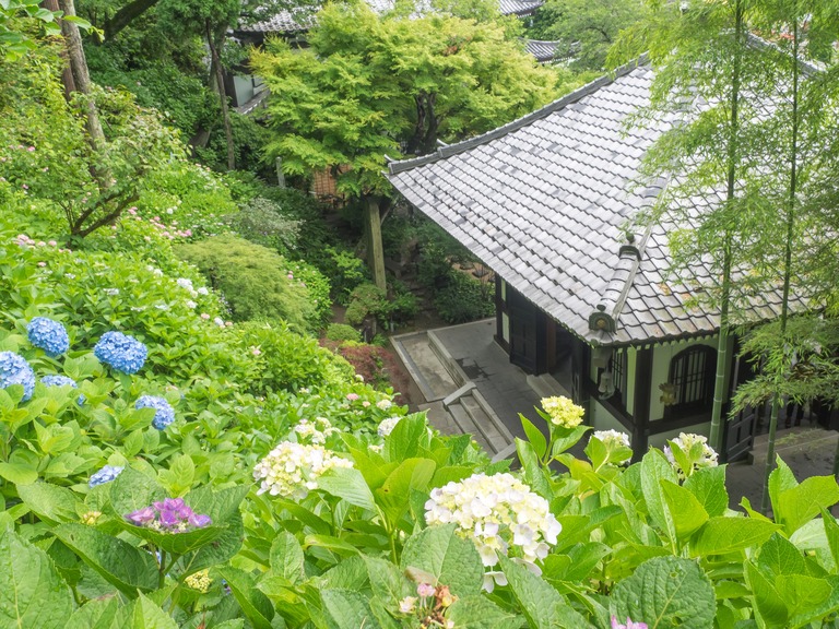 長谷寺-3