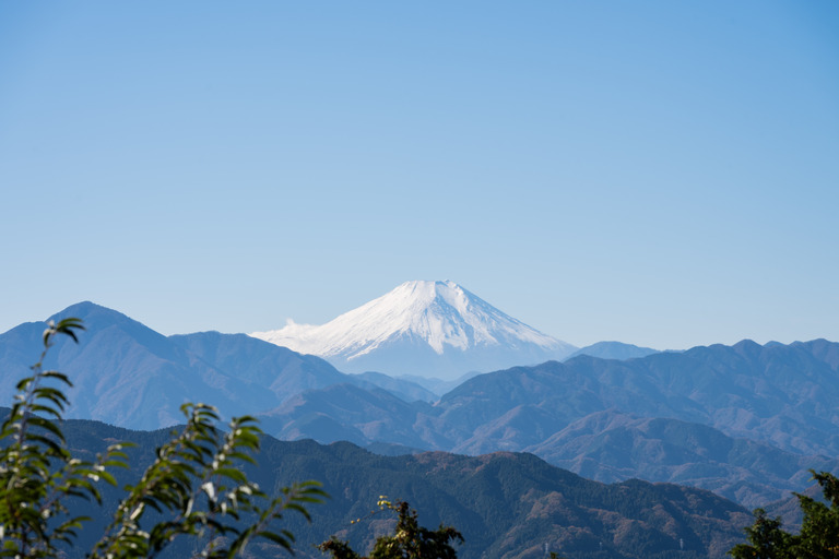 紅葉の高尾山2024年11月25日_34