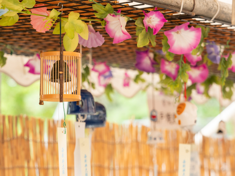 西新井大師_風鈴まつり_2023年_1