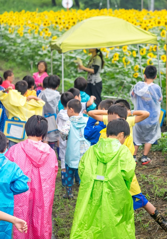 クイズラリーに参加する小学生たち