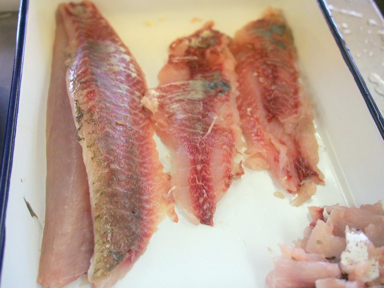 旬の鯔 ボラ をさばいて味わい尽くす 安藤信作の 船橋から 小さいけれどいいものを 旬の鯔 ボラ をさばいて味わい尽くす 安藤信作の 船橋から 小さいけれどいいものを