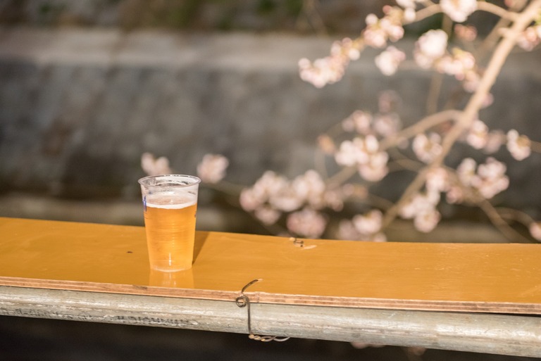 海老川の夜桜2010402‐6