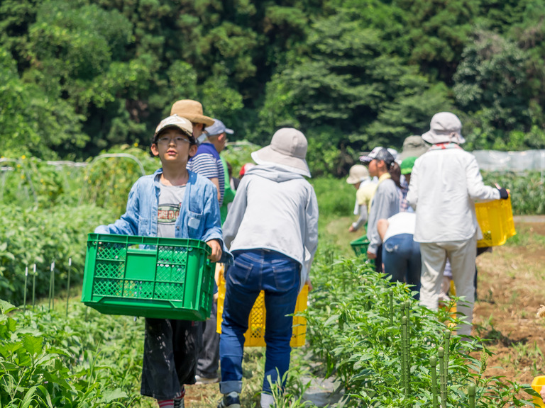 山田農場の一年・7月‐11