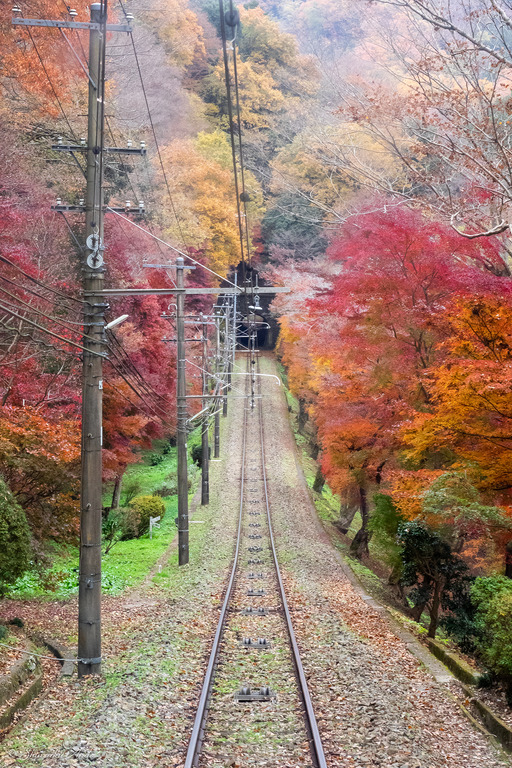 紅葉の高尾山ケーブルカー_2