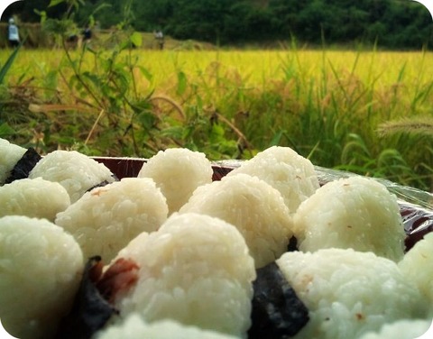 onigiri