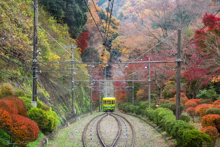 高尾山ケーブルカーからの紅葉_1