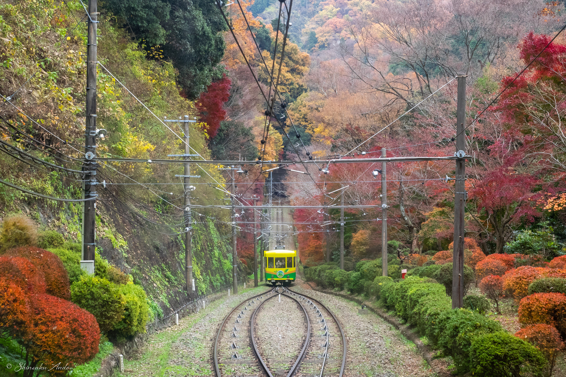 ケーブルカーの車窓から見る高尾山の紅葉 安藤信作の 船橋から 小さいけれどいいものを