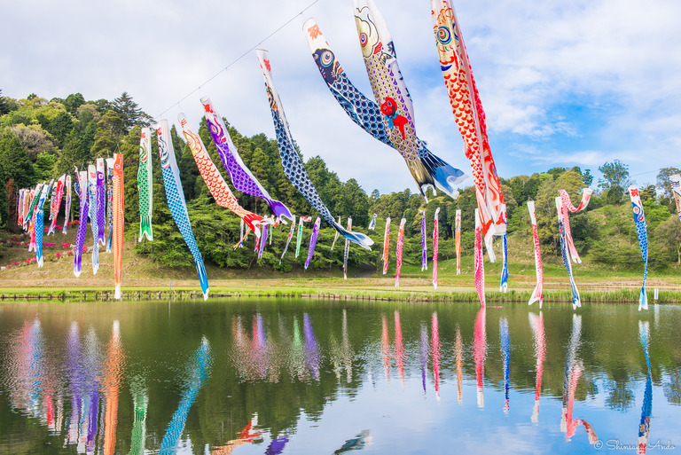 千葉県香取市|いきいき山田・鯉のぼりまつり-1