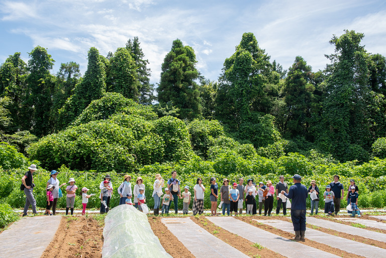 山田農場_夏野菜の会2018_19