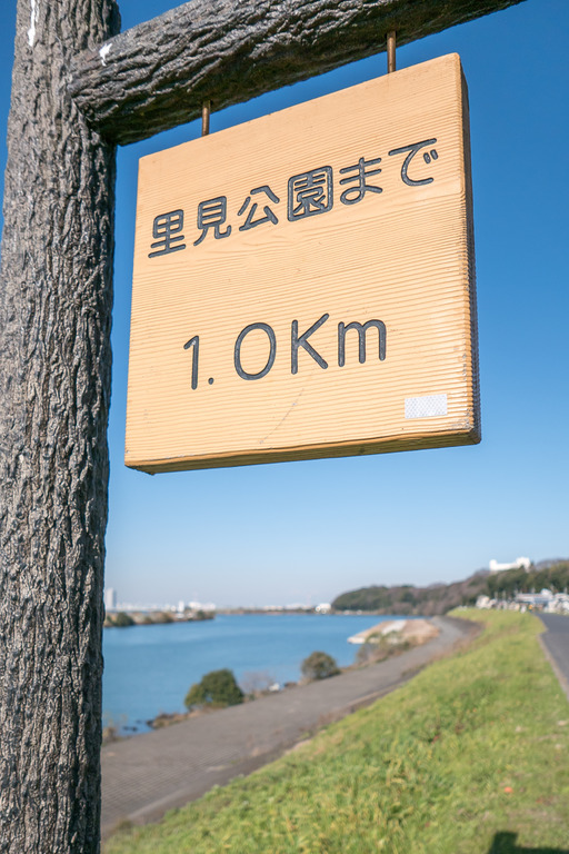 江戸川の河川敷-２