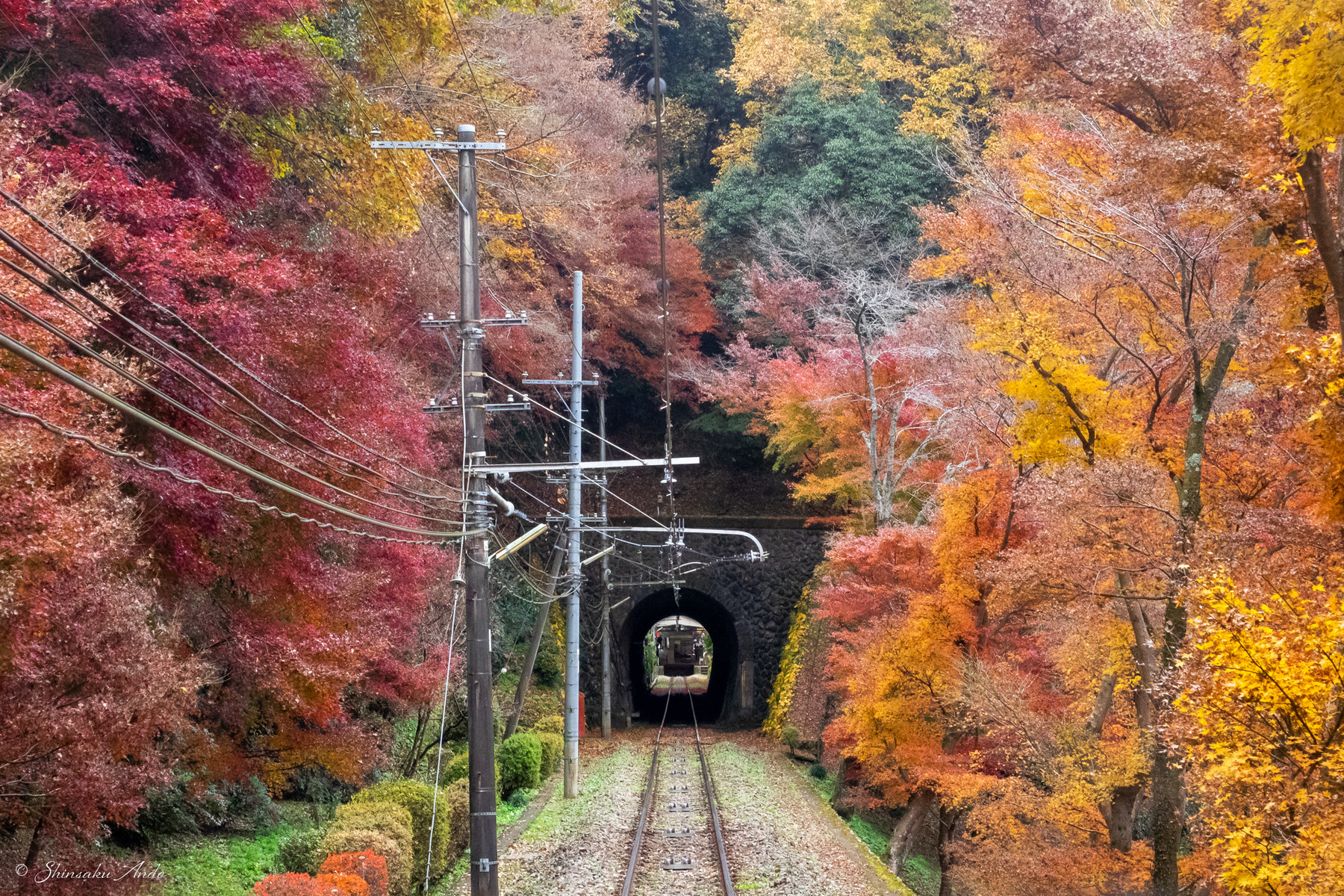 ケーブルカーの車窓から見る高尾山の紅葉 安藤信作の 船橋から 小さいけれどいいものを ケーブルカーの車窓から見る高尾山の紅葉 安藤信作の 船橋から 小さいけれどいいものを