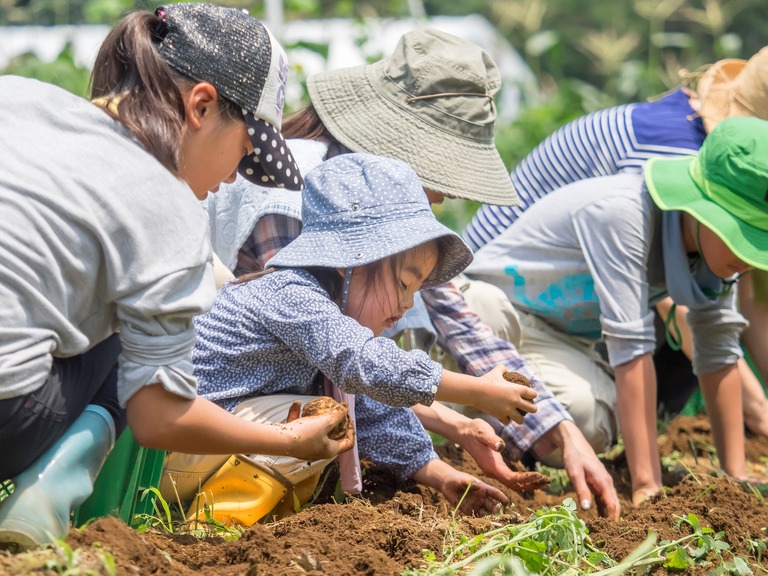山田農場の一年・7月‐23
