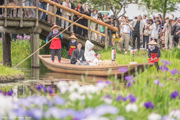 佐原水生植物園・あやめ祭り2016＆嫁入り舟-1