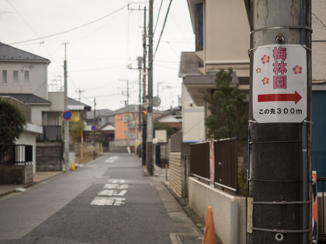 梅林園へ向かう道