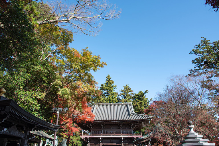高尾山紅葉ハイキング2020_6