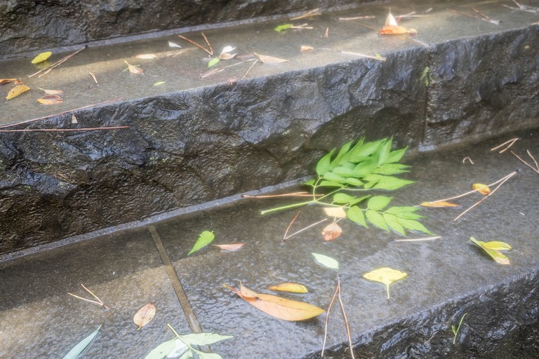 秋の名残-1