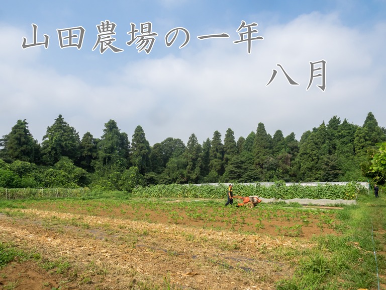 タイトル