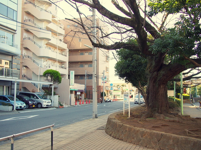 天沼公園前