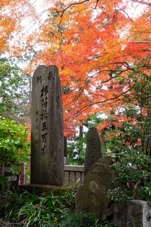 高尾山の紅葉_7