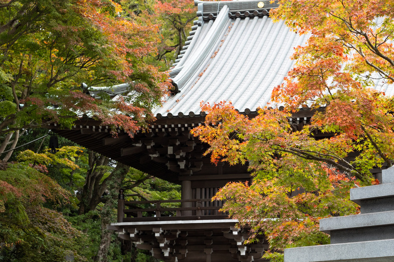 高尾山の紅葉ハイキング_6