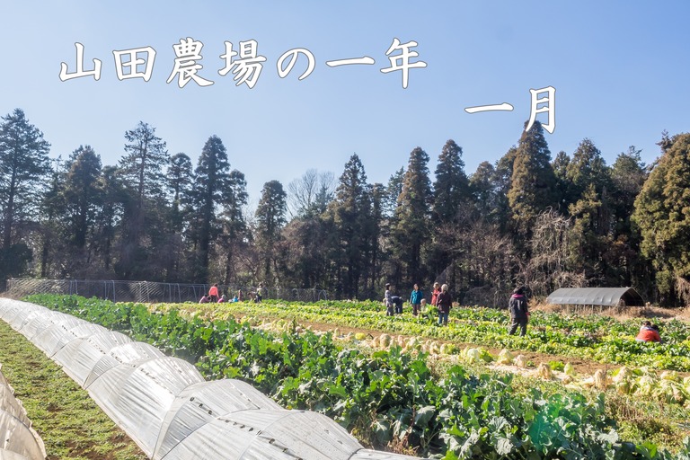 山田農場の一年・一月(タイトル)