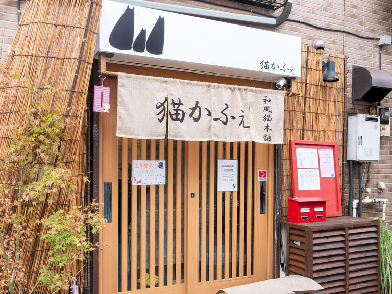 高根公団_猫かふぇ_和風猫本舗_1