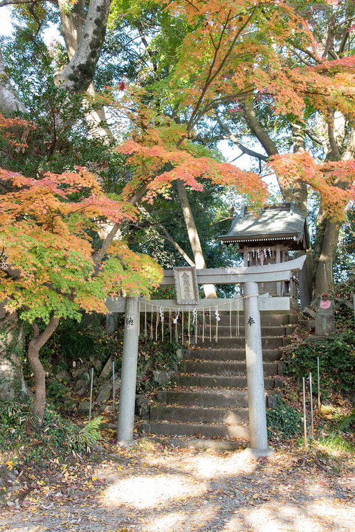 高尾山紅葉ハイキング2020_5