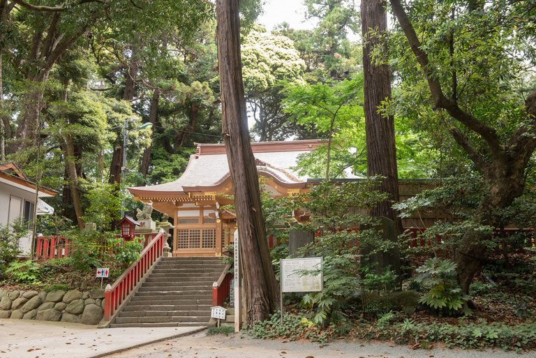 成田_麻賀多神社_20190518_1