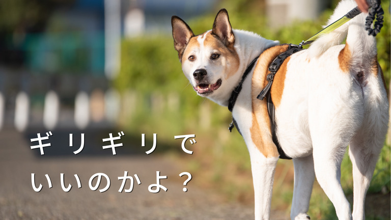 サムネ