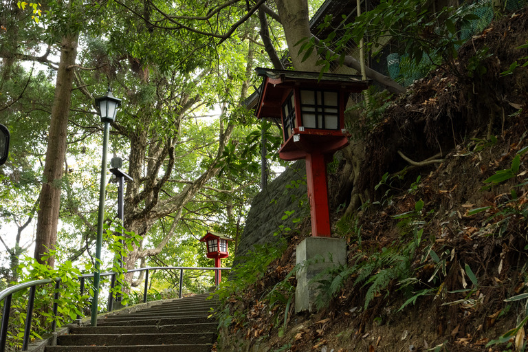 高尾山の紅葉ハイキング_7