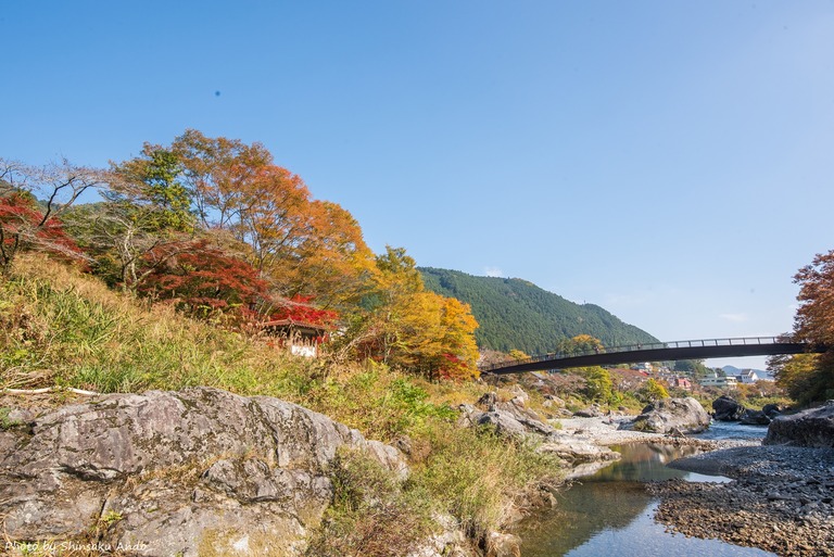 奥多摩の紅葉2016(御岳渓谷~軍畑駅)-5