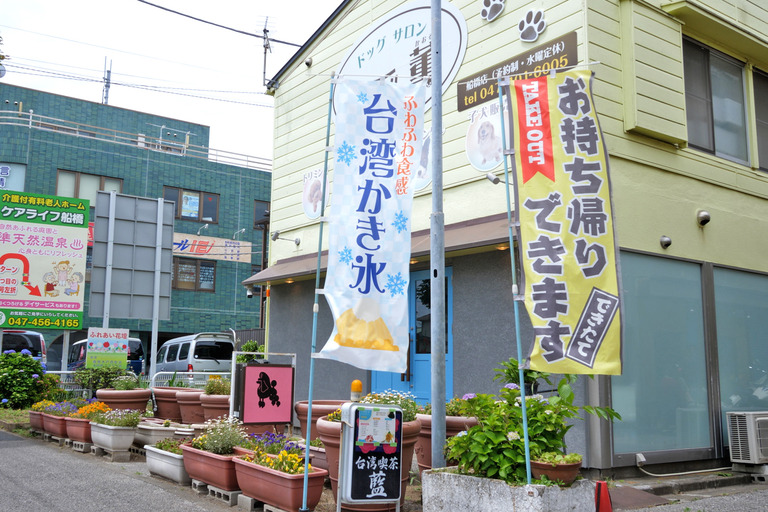 船橋市新高根|台湾喫茶藍 のぼり