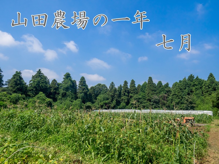 タイトル‐2