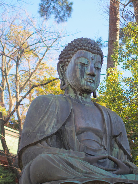 法華経寺の大仏さま