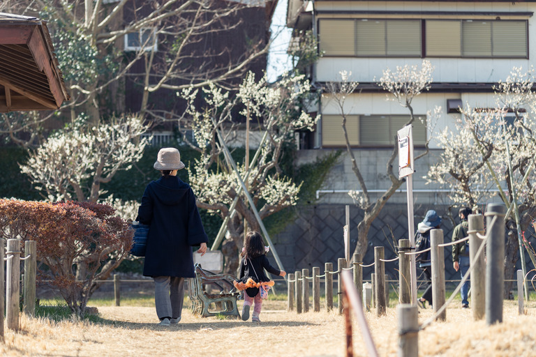 習志野梅林園2025_3