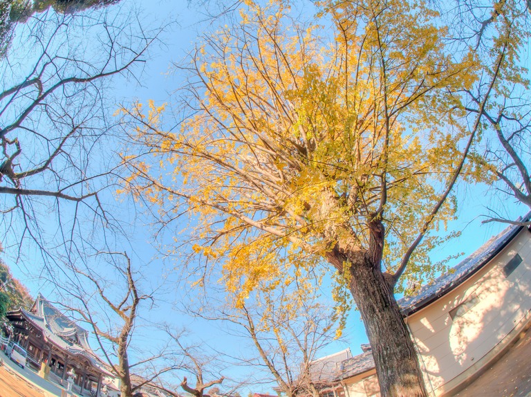 御滝不動尊の紅葉-7