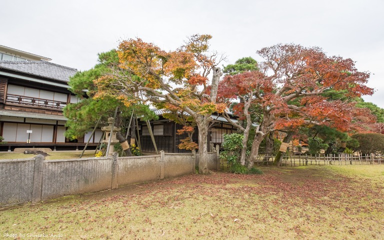 佐倉市城下町あるき-17(旧堀田邸)