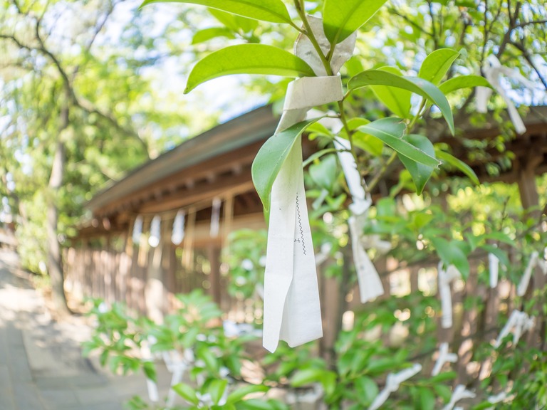 船橋大神宮2