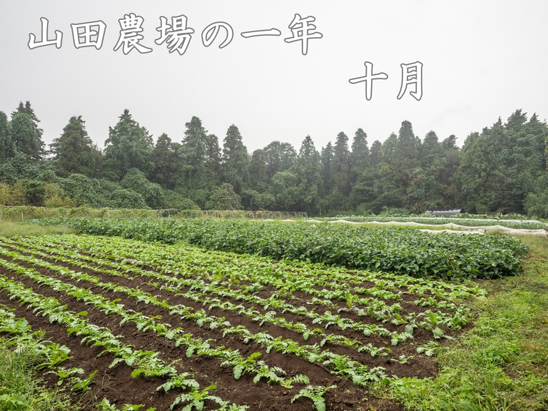 山田農場の一年・十月(枝豆の会)1‐タイトル