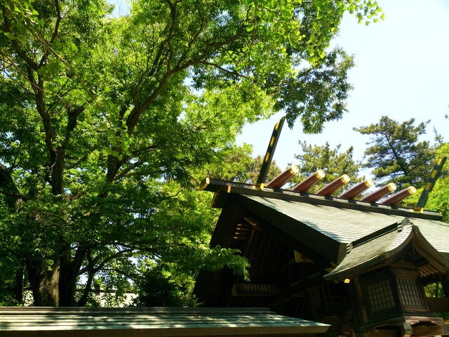 新緑の大神宮