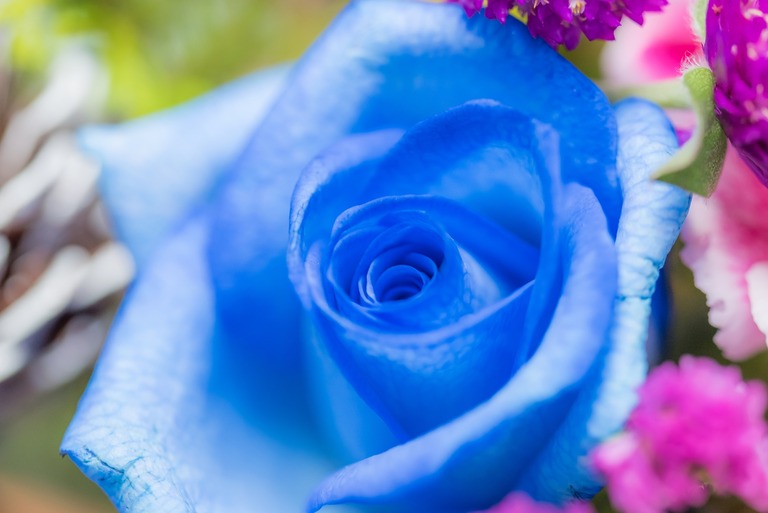 QUEENS FLOWER-3