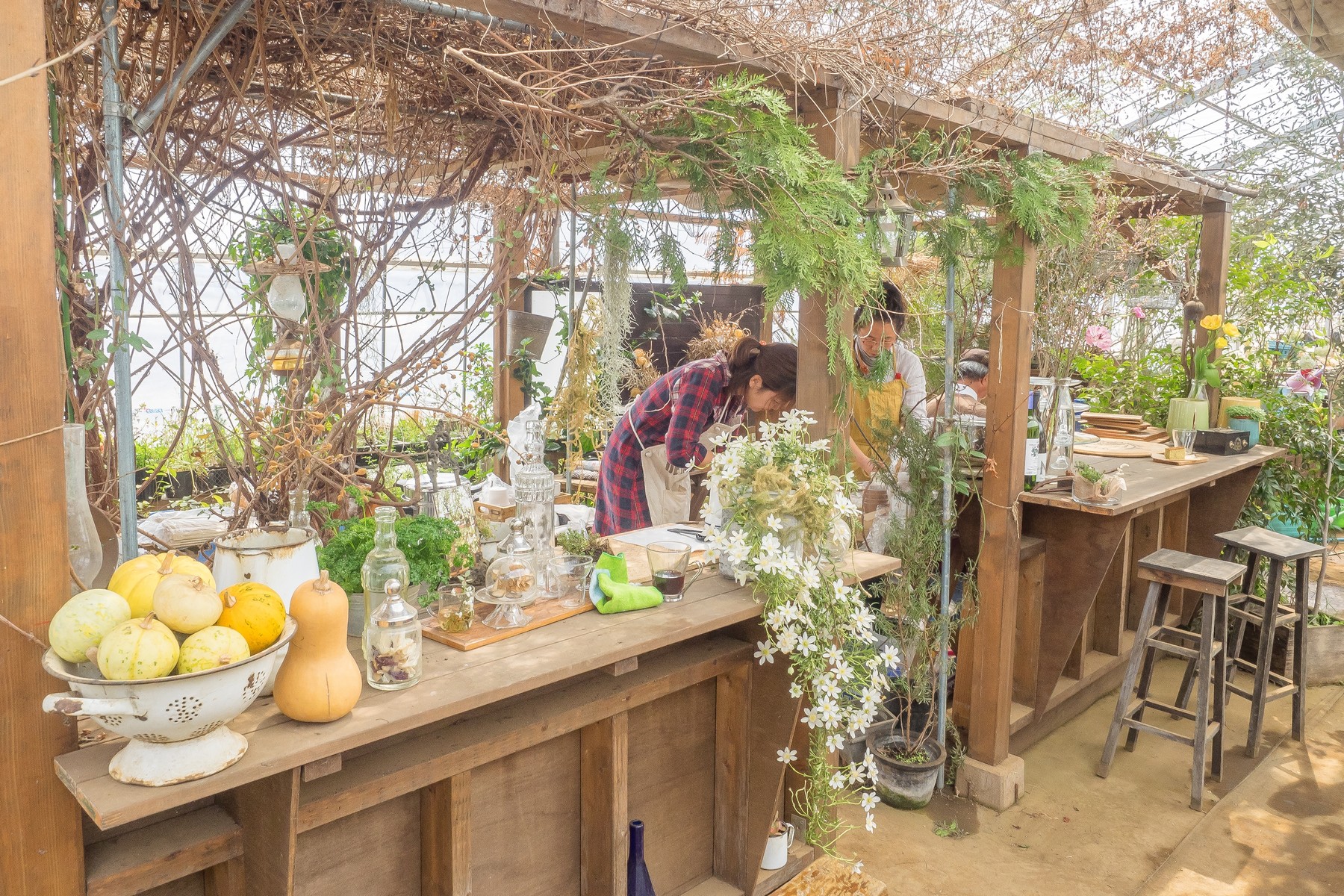 船橋市飯山満 花屋とカフェ C Est La Vie セラヴィ 安藤信作の 船橋から 小さいけれどいいものを