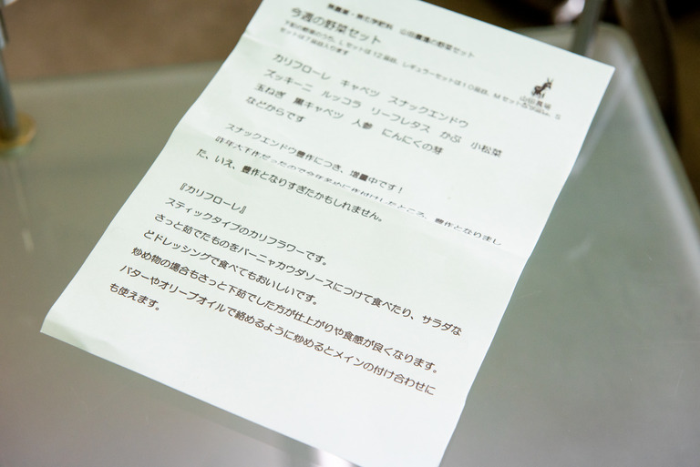 山田農場の野菜セット_6