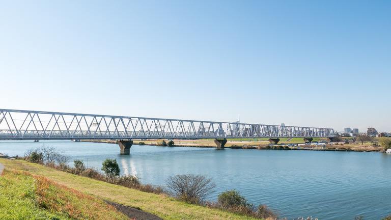 江戸川の河川敷-3