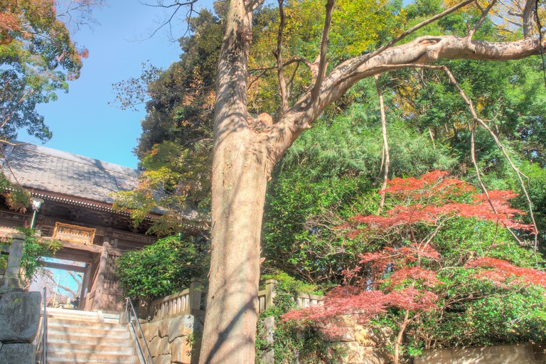 御滝不動尊の紅葉-3