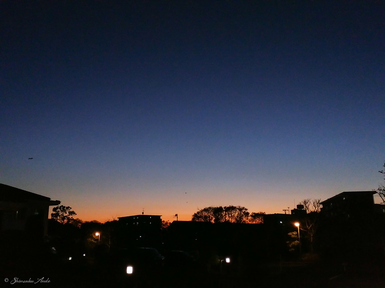 元日の夕焼け
