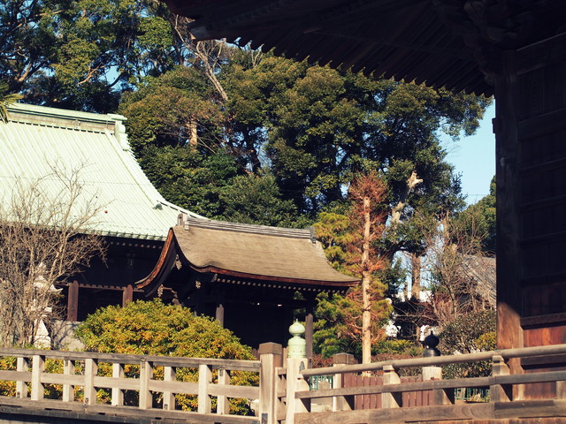 中山法華経寺④