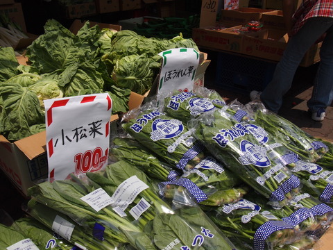 大洋青果