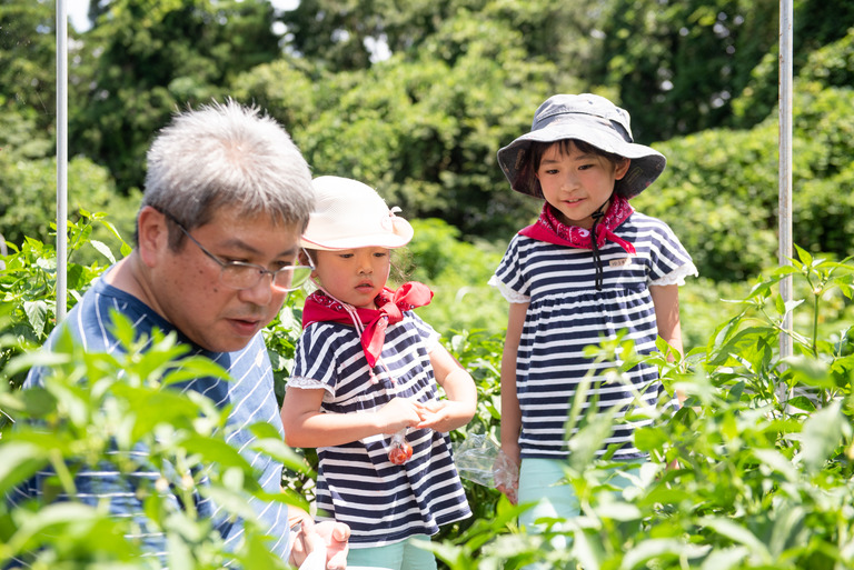 山田農場_夏野菜の会2018_27