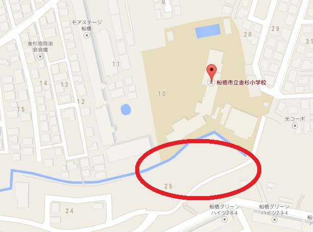 金杉小学校・ヒマワリ畑の地図